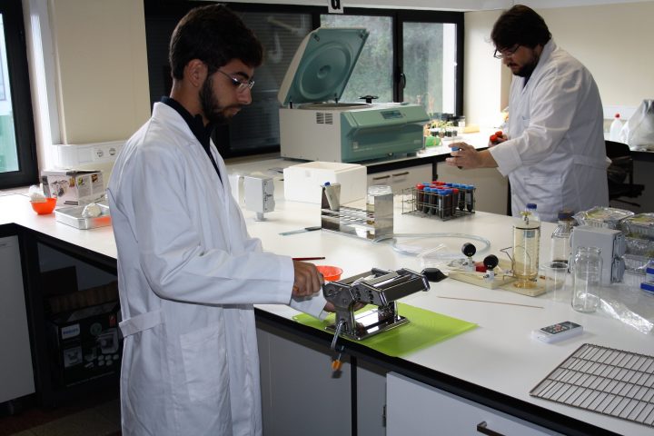 Projeto incorpora macroalgas nas massas alimentícias
