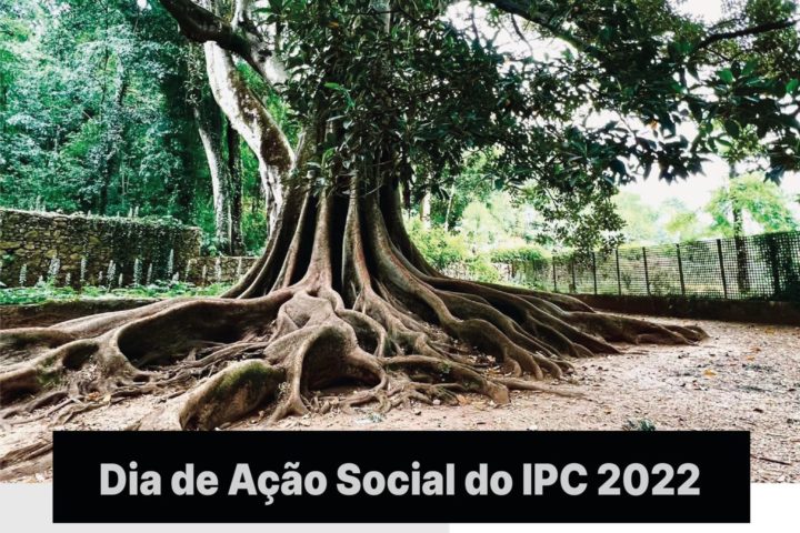 Politécnico de Coimbra celebra Dia da Ação Social