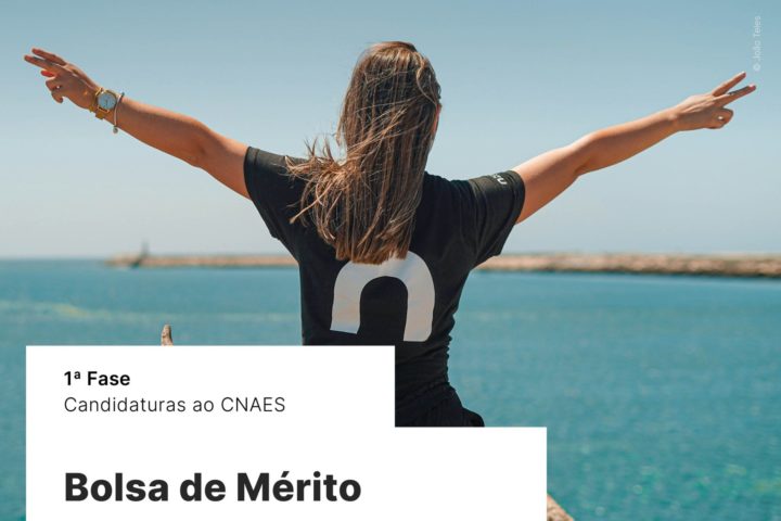Bolsas de mérito para alunos com melhores médias de candidatura