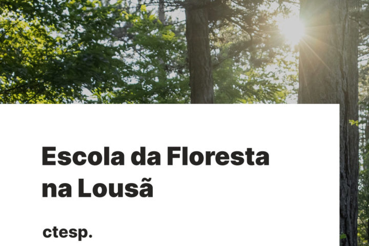 Abertas candidaturas para o CTeSP em Operações Florestais na Lousã