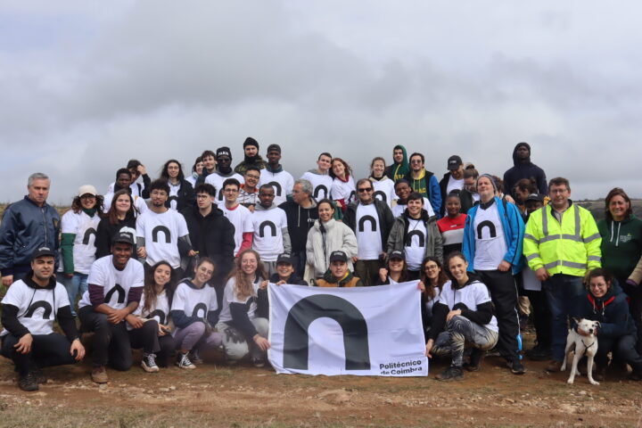 Mais de 1700 árvores plantadas no Parque Natural da Serra da Estrela