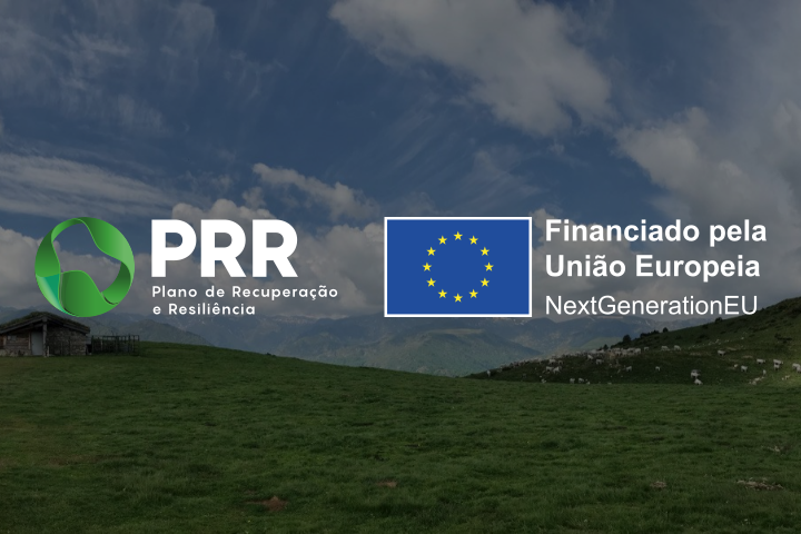 Recovery and Resilience Plan Projects