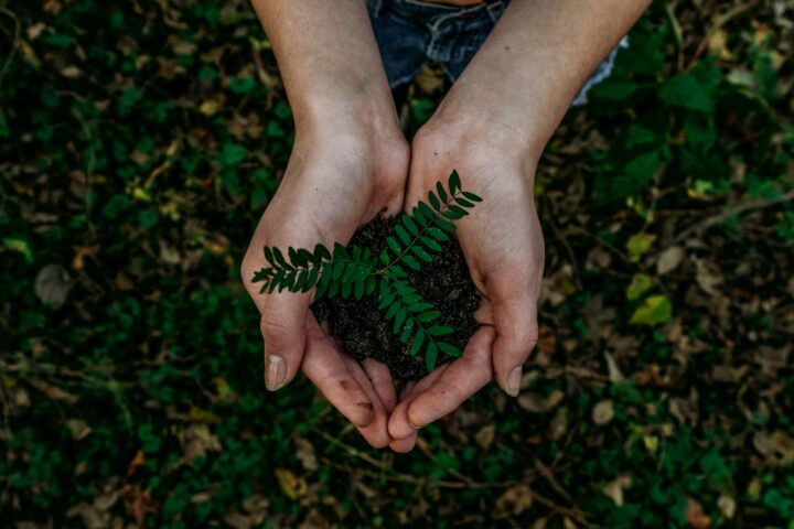 IPC é parceiro em projeto europeu de turismo sustentável “COIMBRA ST LLM”
