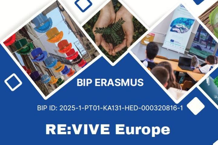 BIP ERASMUS- RE:VIVE Europe  rethinking low-density territories,  inspiring big futures