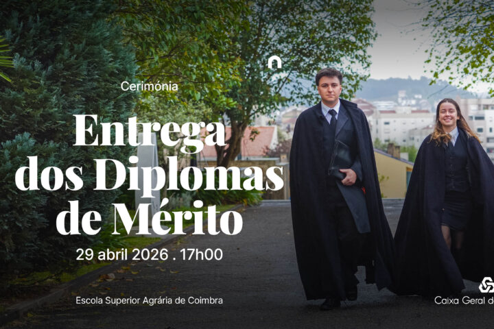 Politécnico de Coimbra reconhece estudantes com Diplomas de Mérito