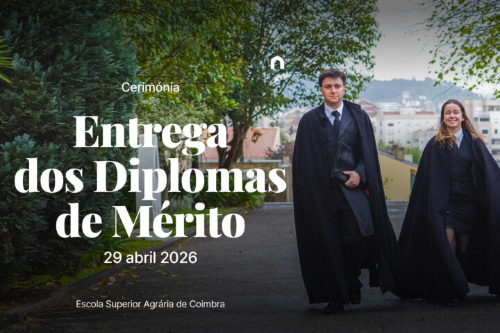 Cerimónia de Entrega de Bolsas de Mérito