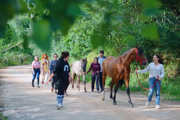 Horse Buddy: projeto do IPC, agora patenteado, une cavalos e bem-estar dos estudantes