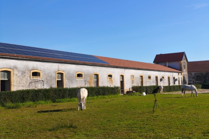 Aumento do nível de eficiência energética e hídrica do edifício Laboratório de Reprodução Animal da ESAC