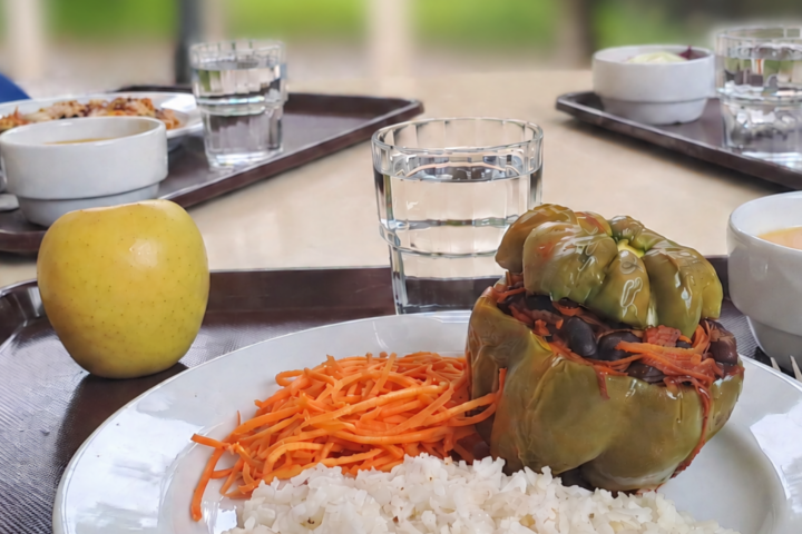 SAS UPCoimbra e ProVeg Portugal estabelecem parceria para promover alimentação mais sustentável