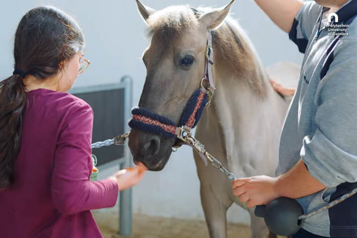 Horse Buddy abre inscrições para a 3.ª edição: estudantes da UPCoimbra podem experimentar atividades com cavalos